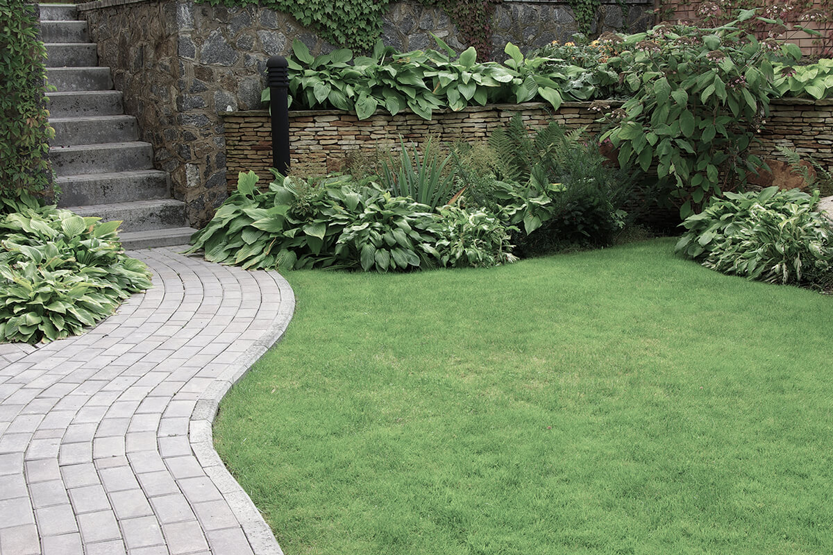 Welcome to All Season Landscaping
